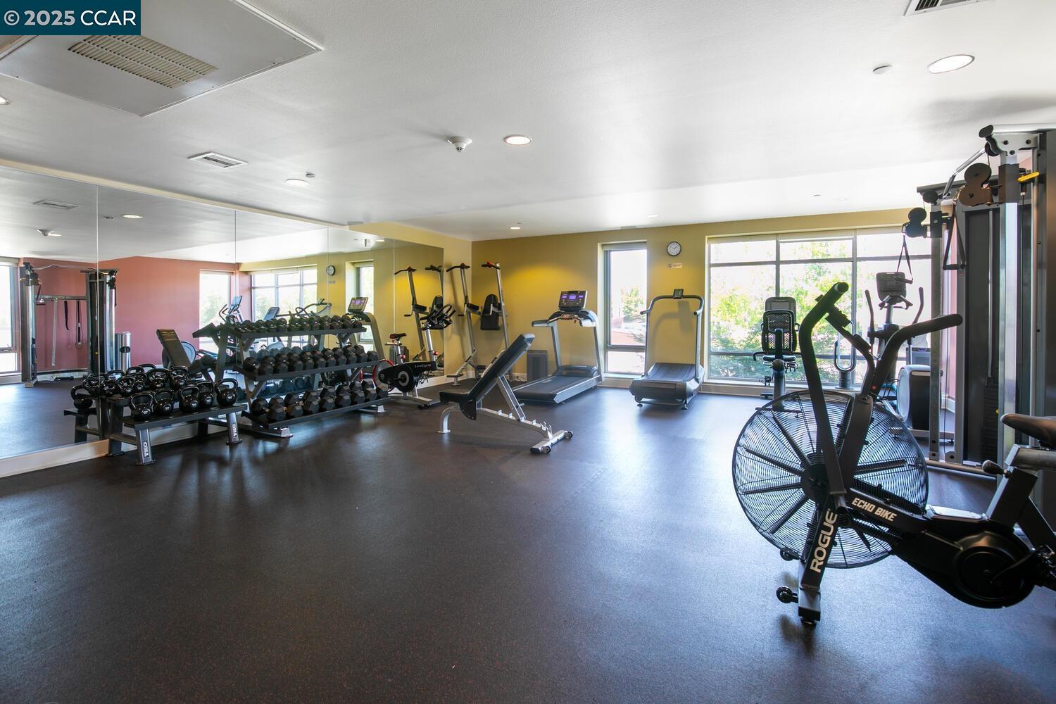 555 Ygnacio Valley Rd # 309