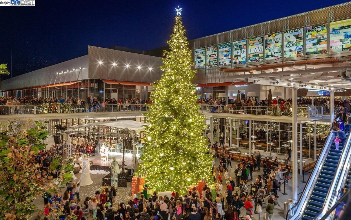 140 Reflections Dr # 24