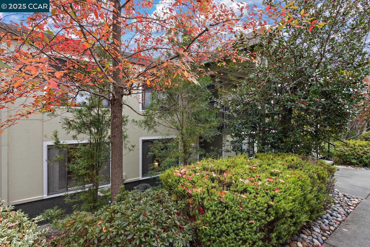 2709 Golden Rain Road # 6