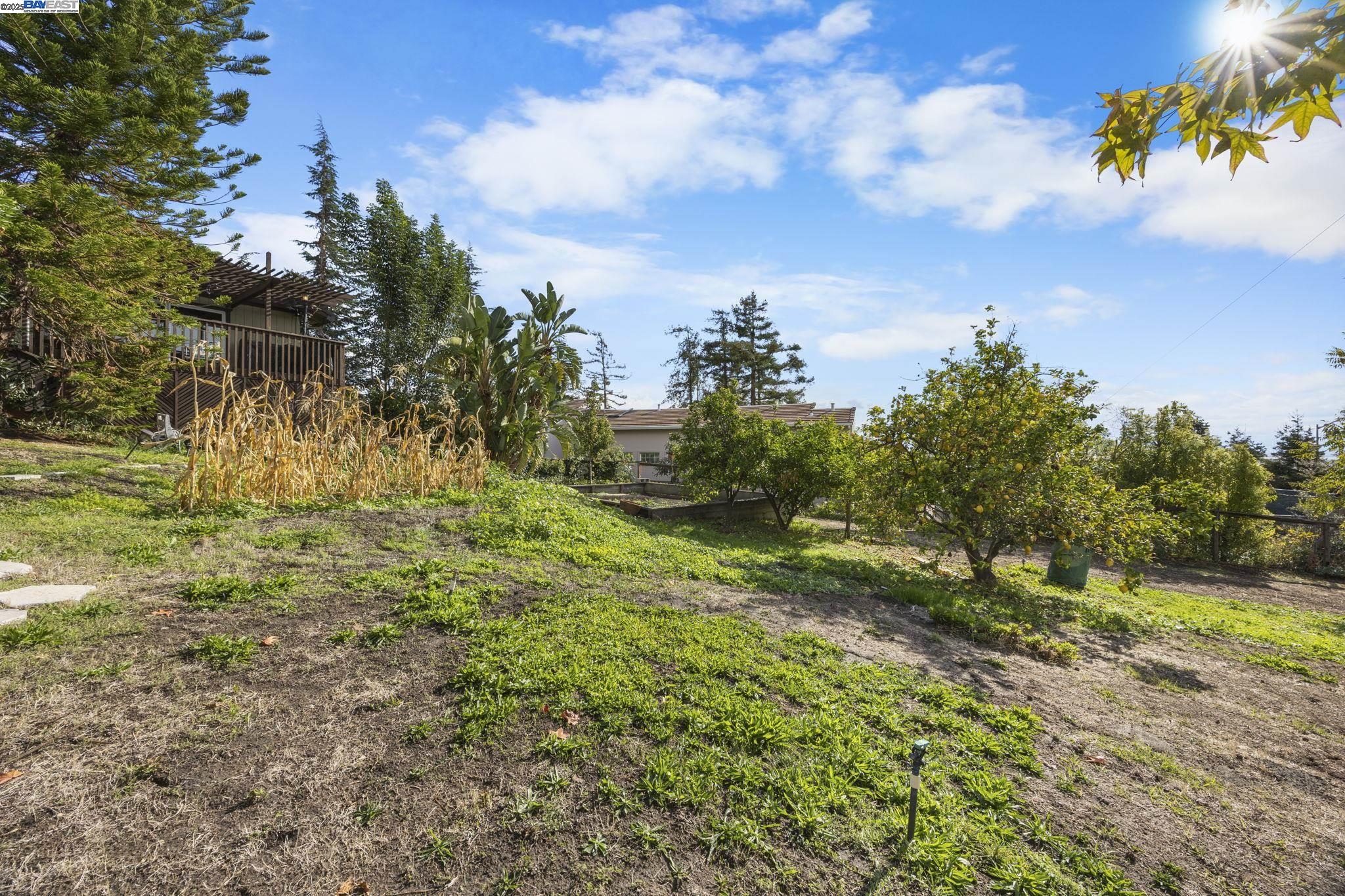 46935 Aloe Ct