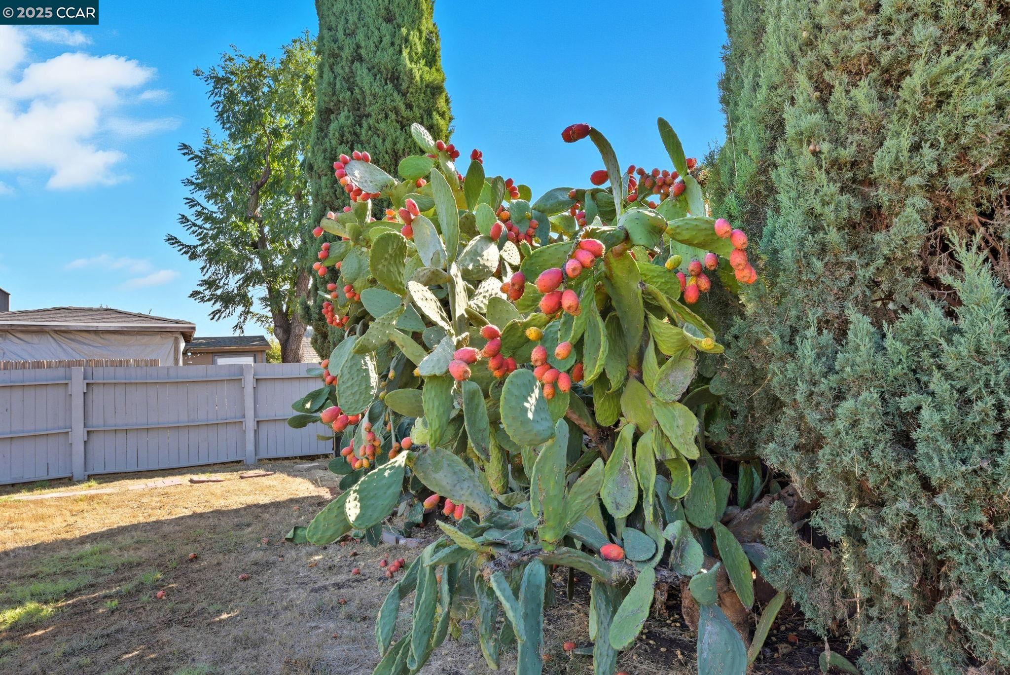 4108 Irene Dr, Martinez