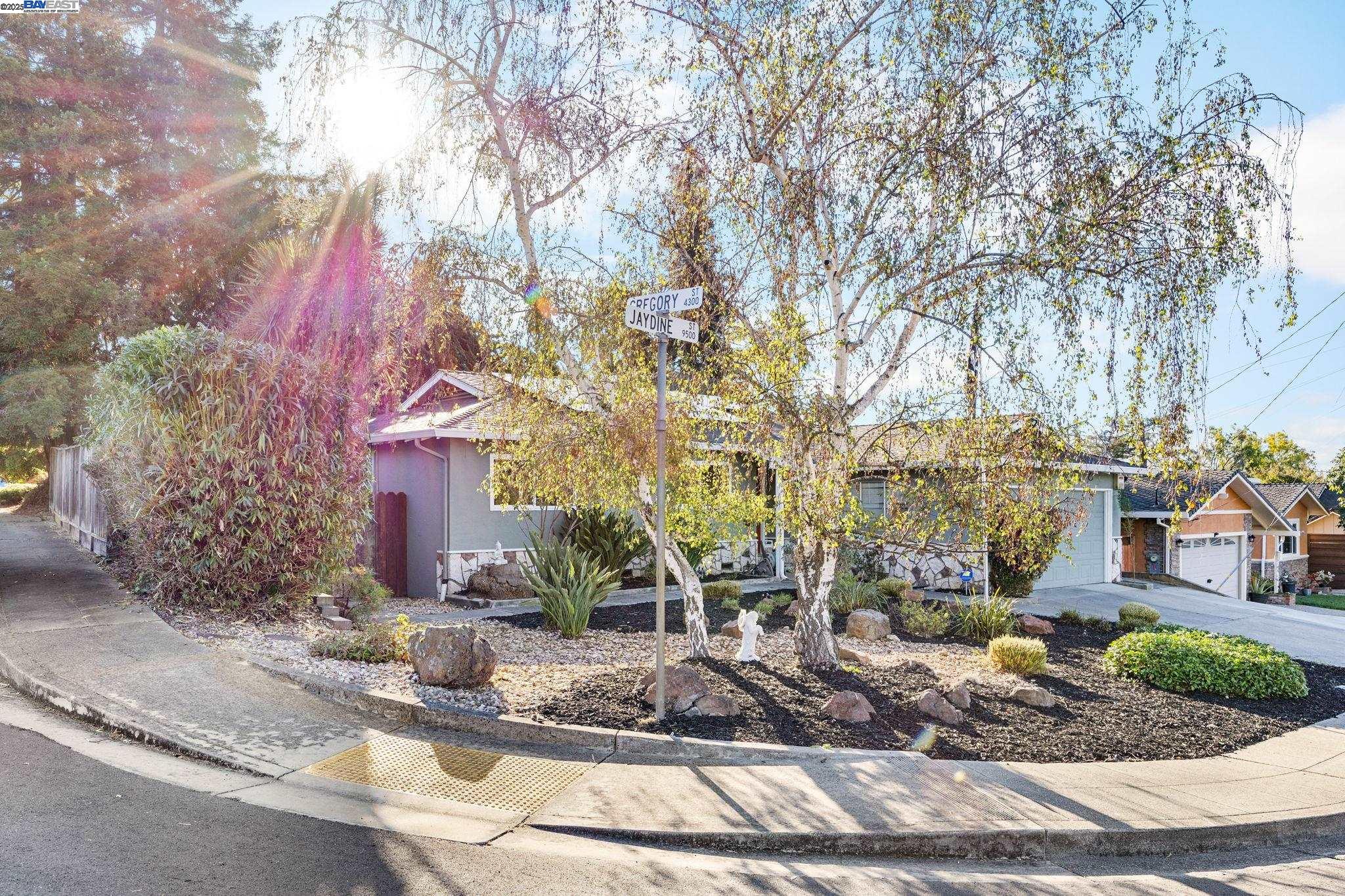 19554 Jaydine St, Castro Valley