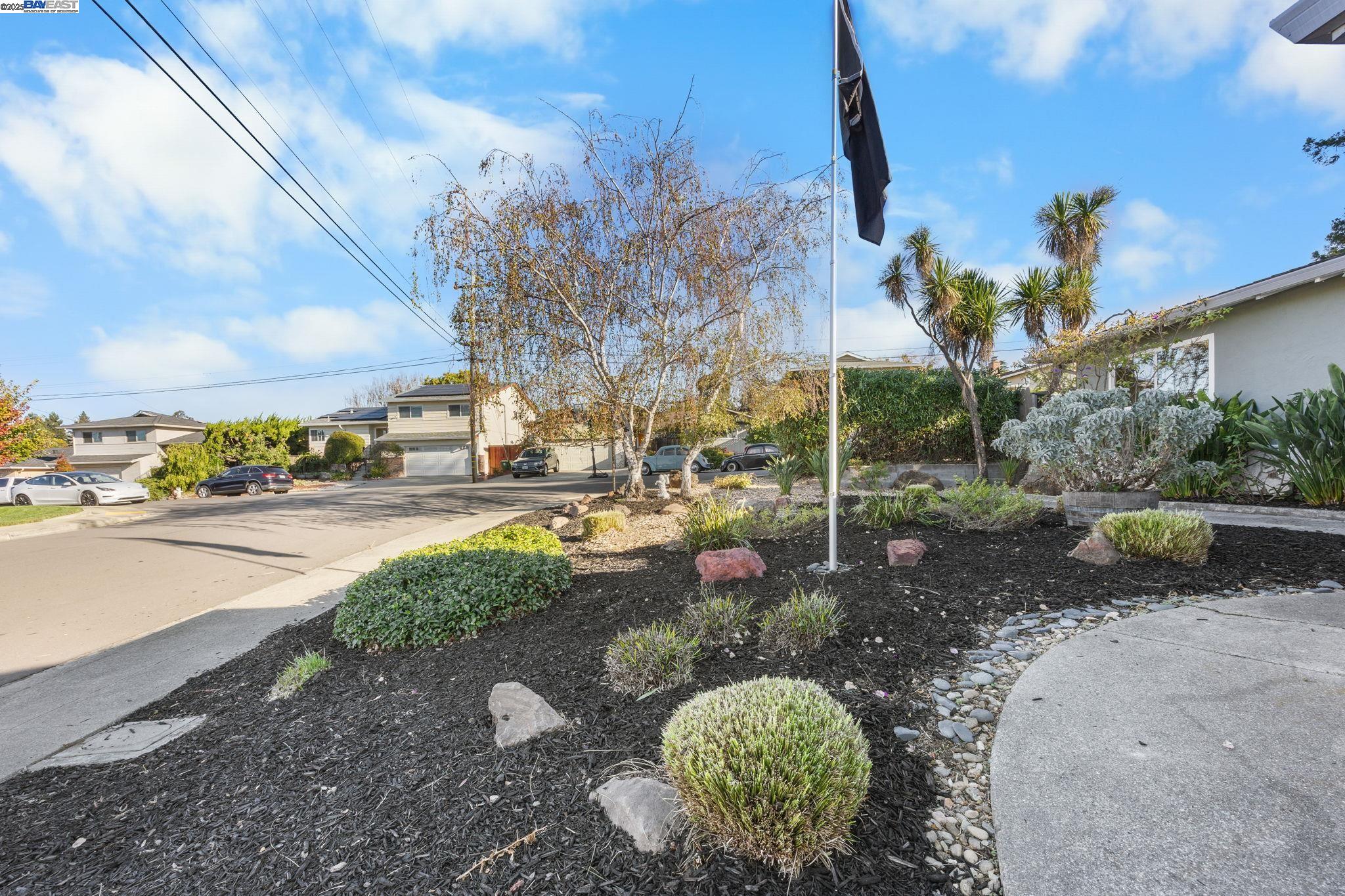 19554 Jaydine St, Castro Valley