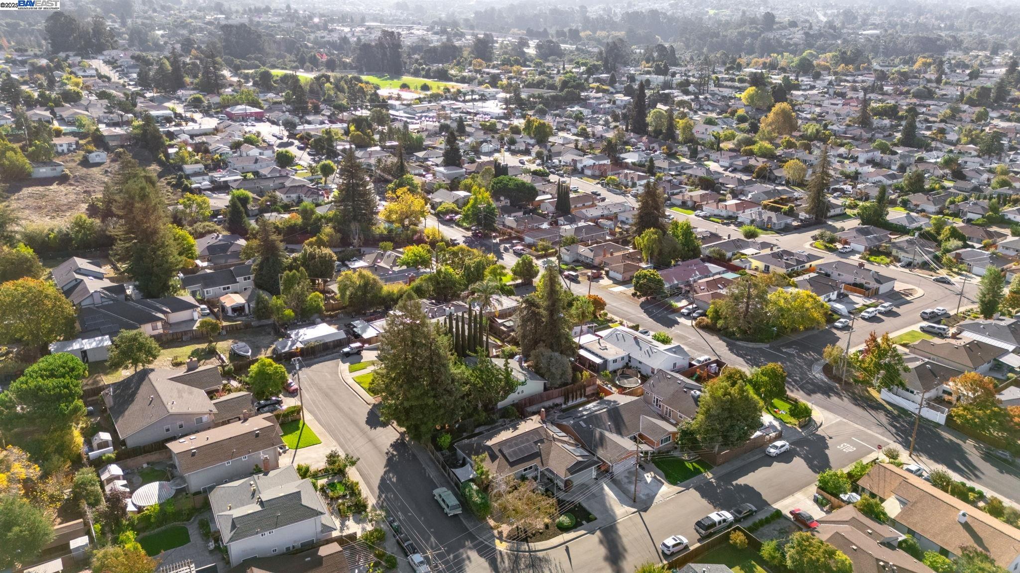 19554 Jaydine St, Castro Valley