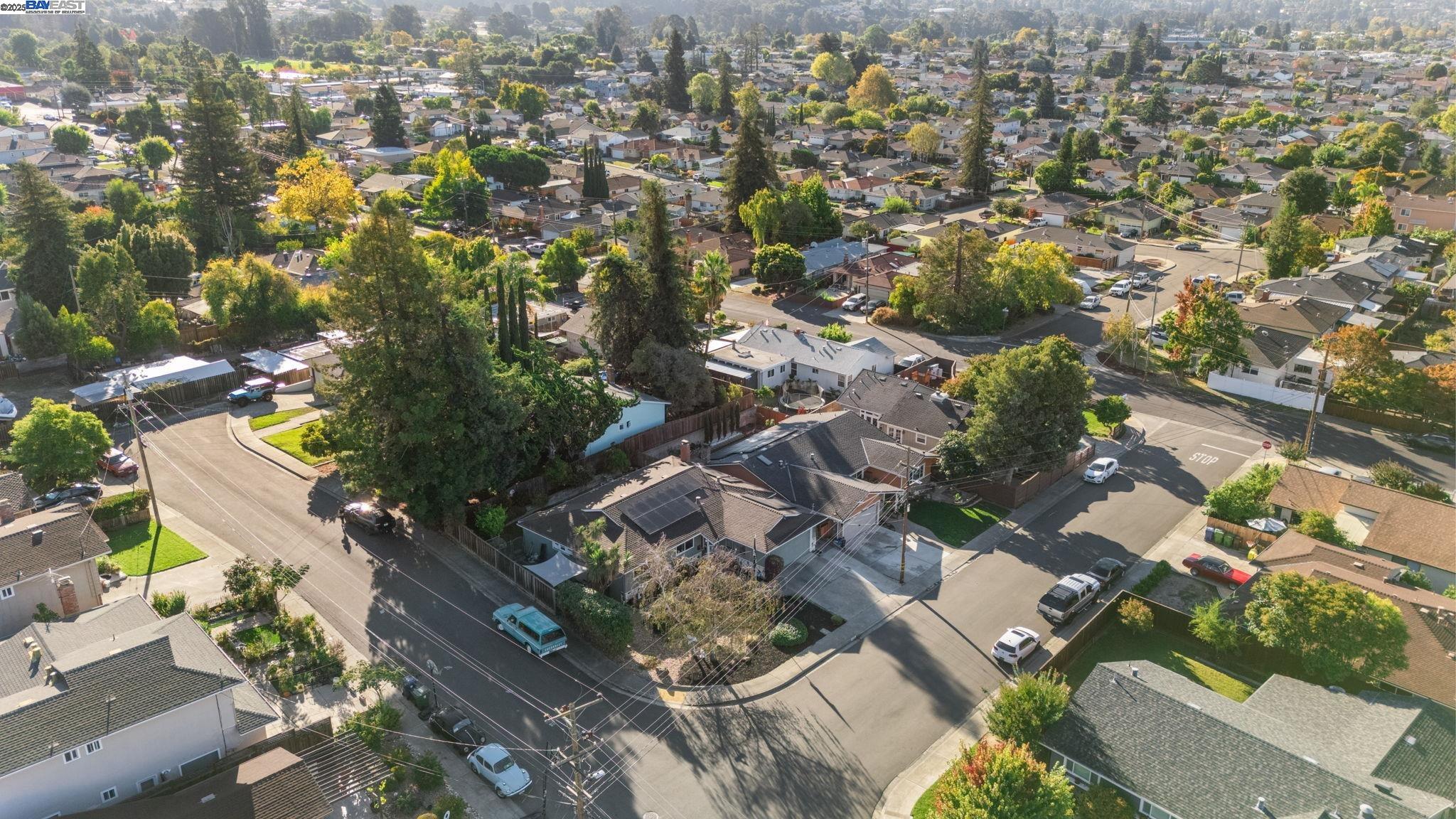 19554 Jaydine St, Castro Valley