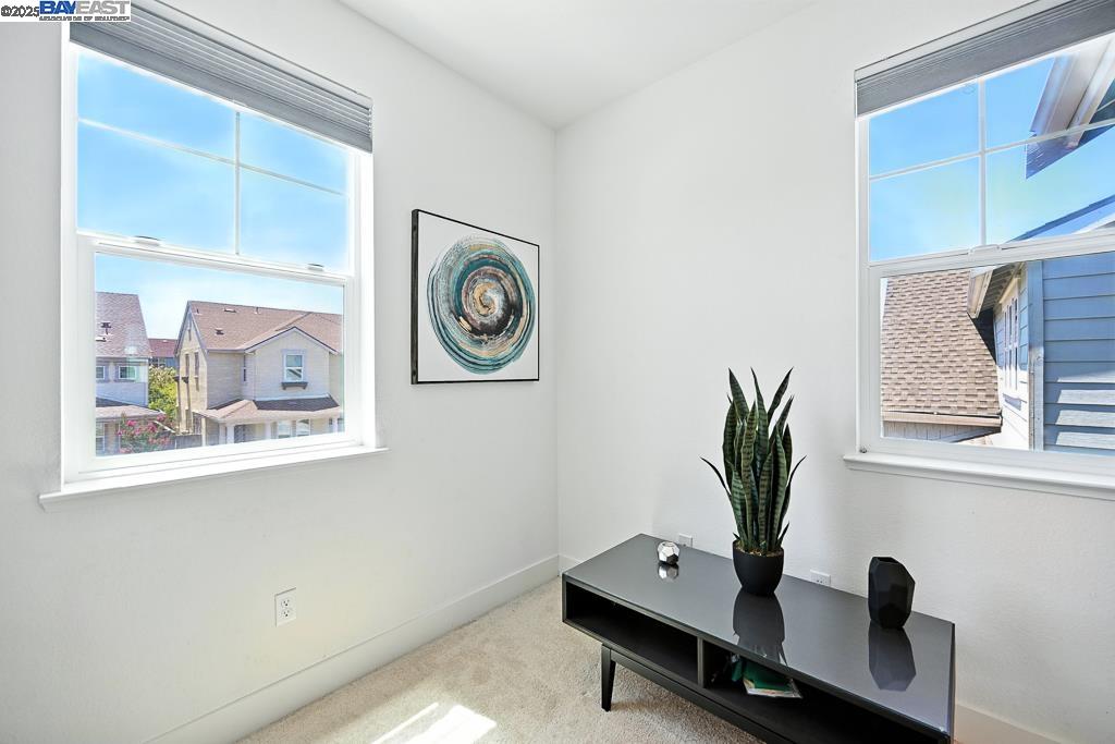 2100 Carbondale, Dublin