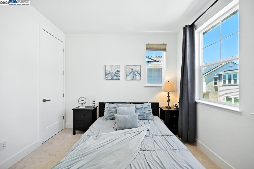 2100 Carbondale, Dublin