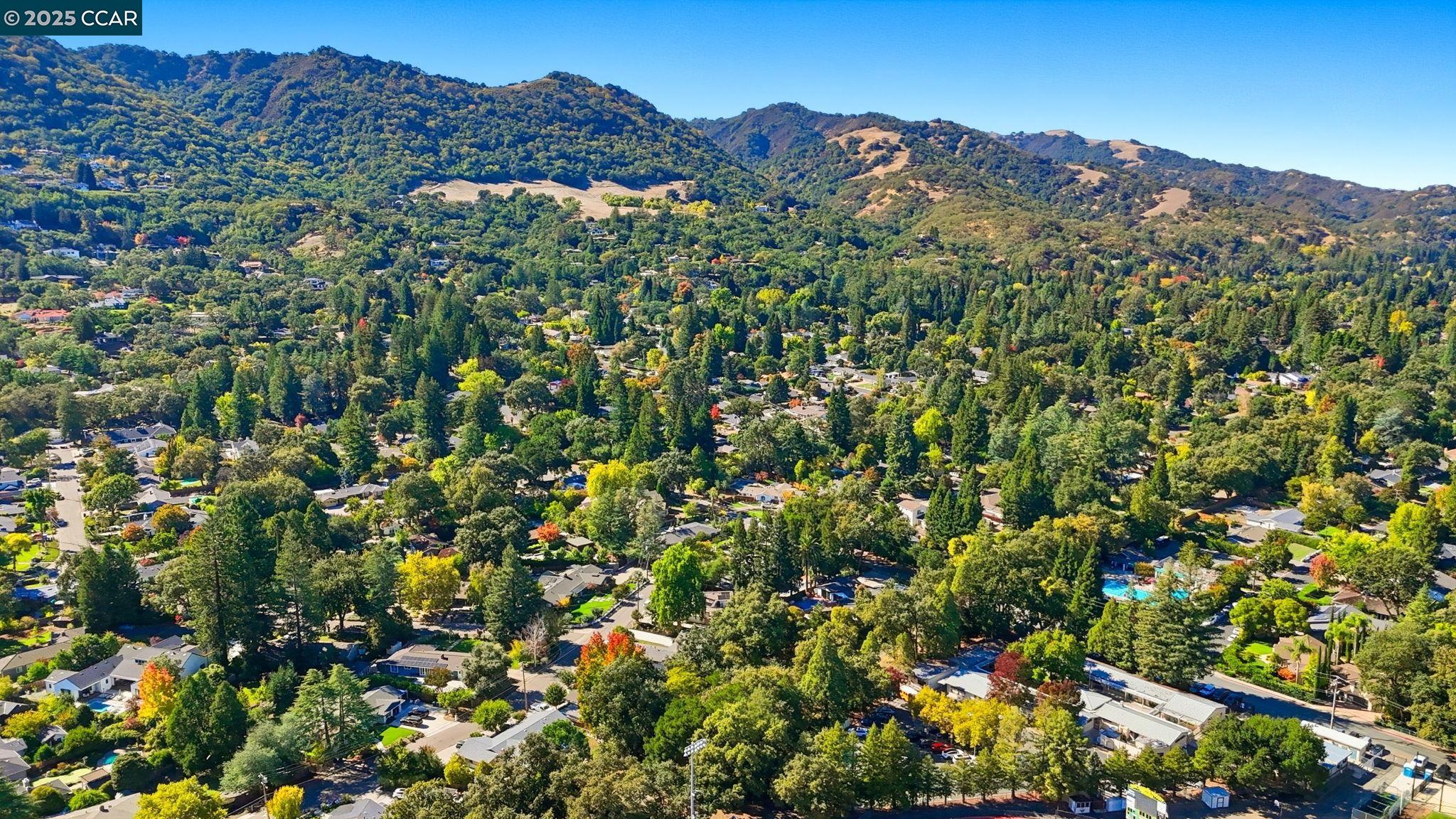 544 Verona Ave, Danville