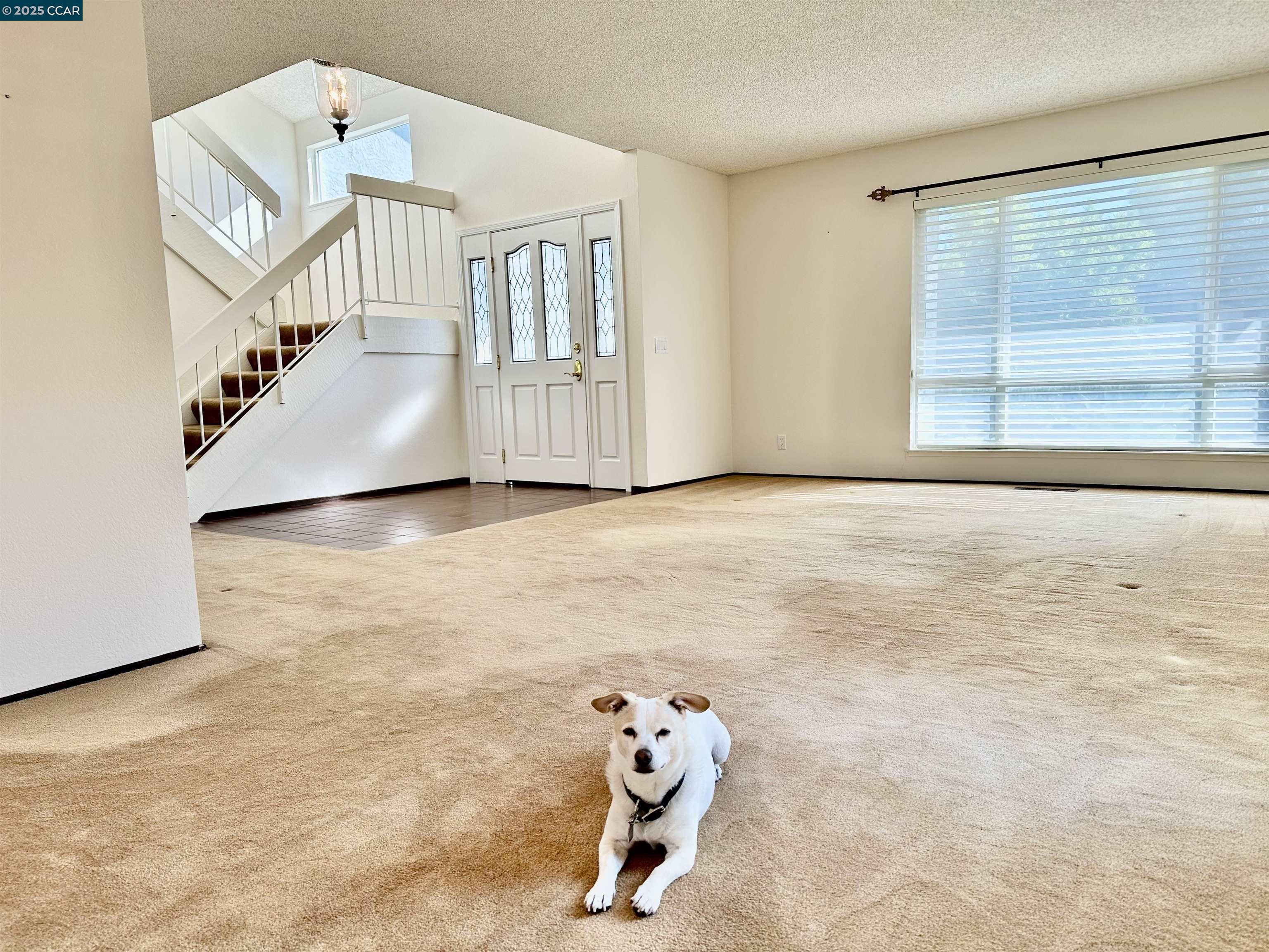 167 Mount Tam Ct, Martinez