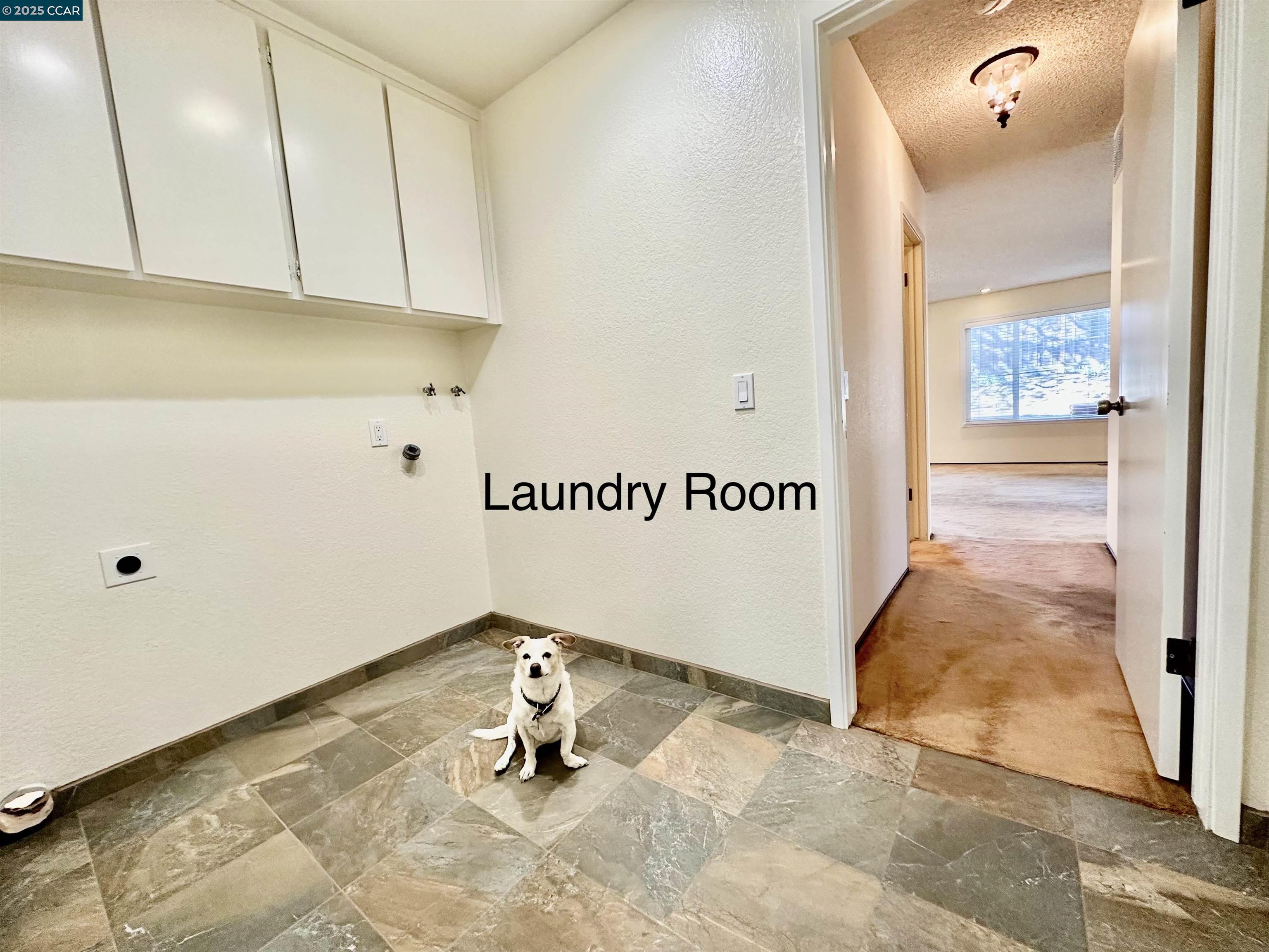 167 Mount Tam Ct, Martinez