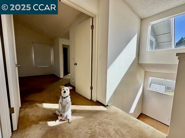 167 Mount Tam Ct, Martinez