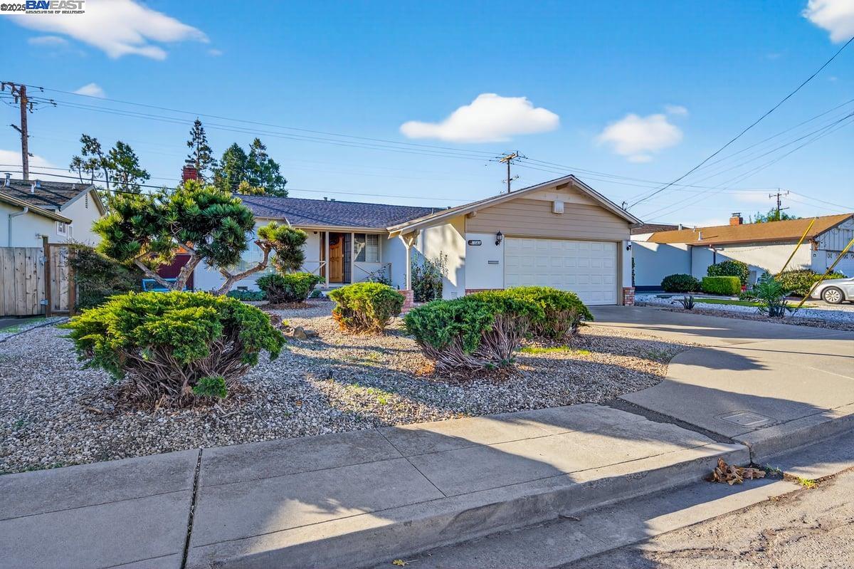 1562 Randy St, San Leandro