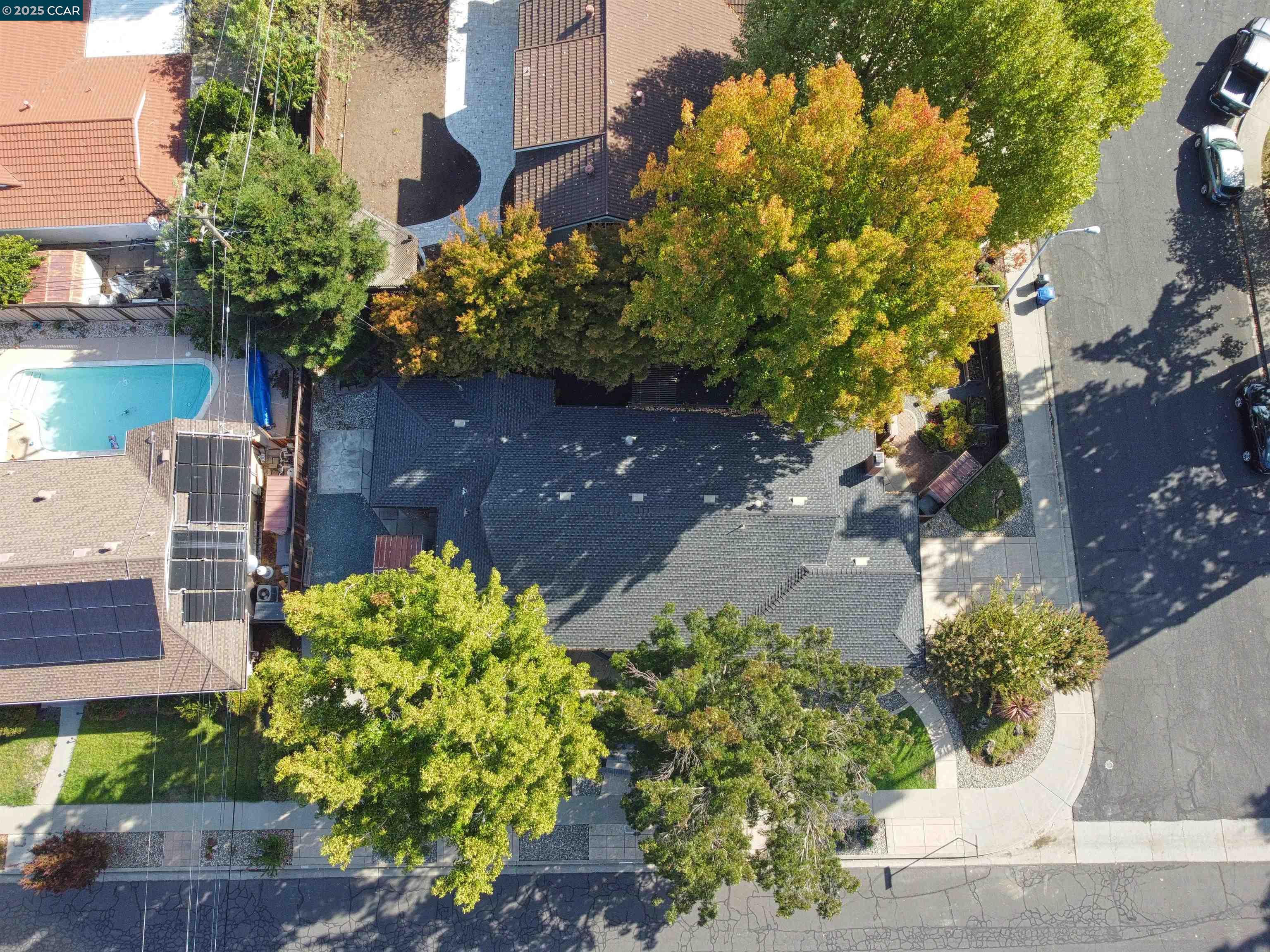 1024 Bermuda, Concord