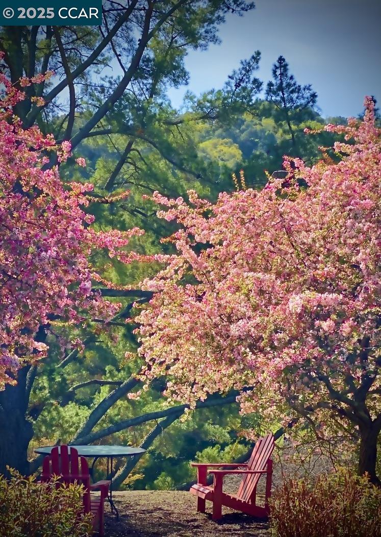 3434 Tice Creek Dr # 5