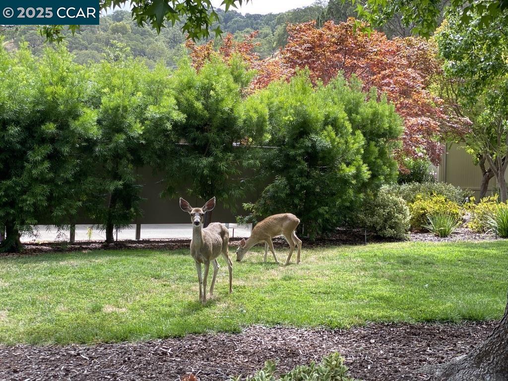 3434 Tice Creek Dr # 5