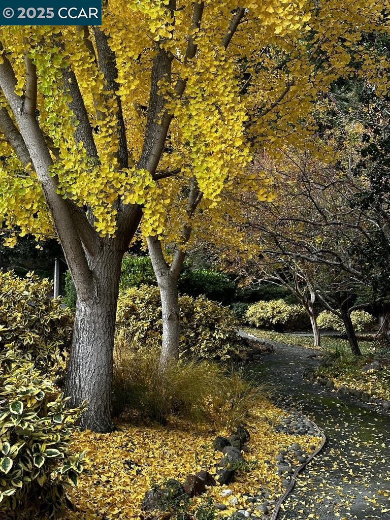 3434 Tice Creek Dr # 5