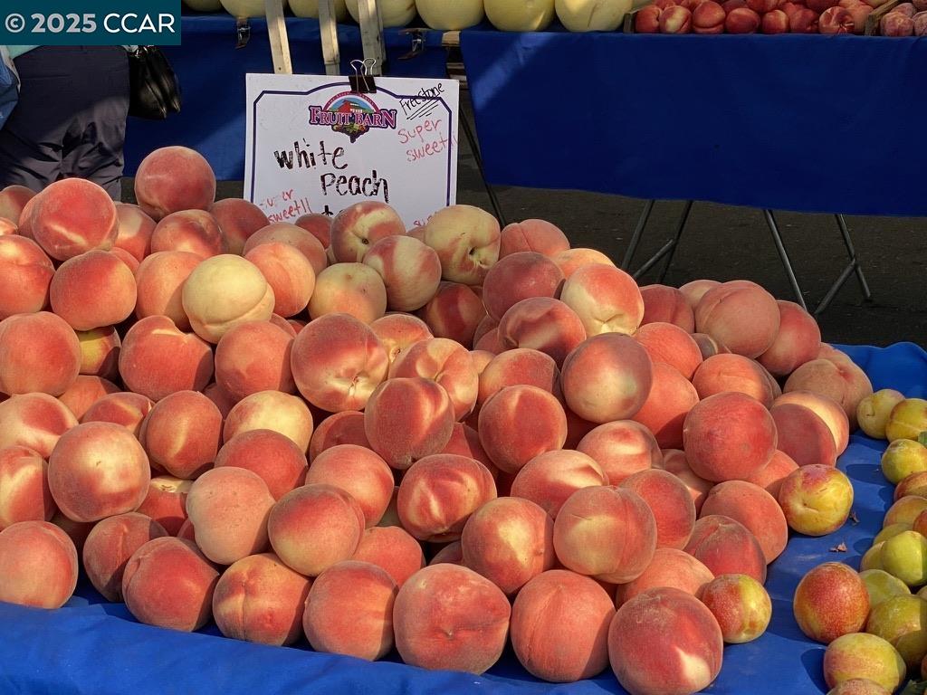 3434 Tice Creek Dr # 5