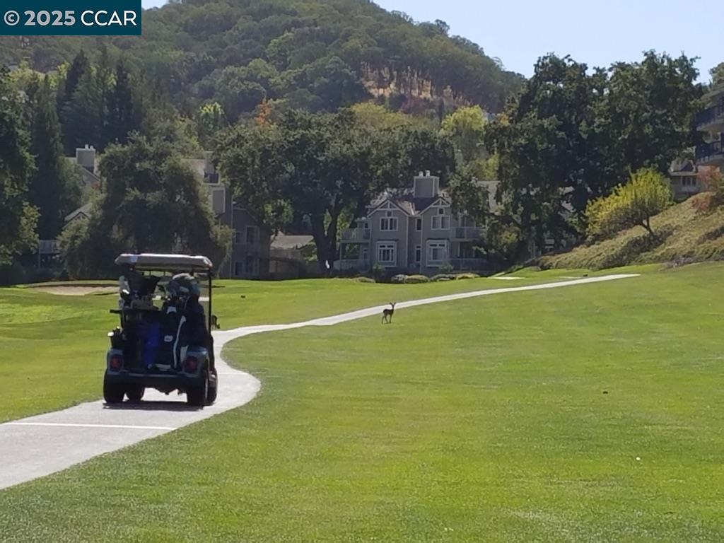 3434 Tice Creek Dr # 5