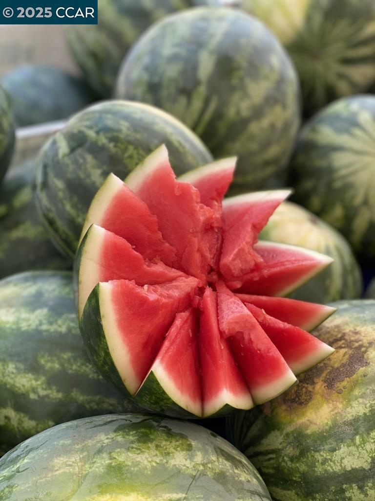 3434 Tice Creek Dr # 5