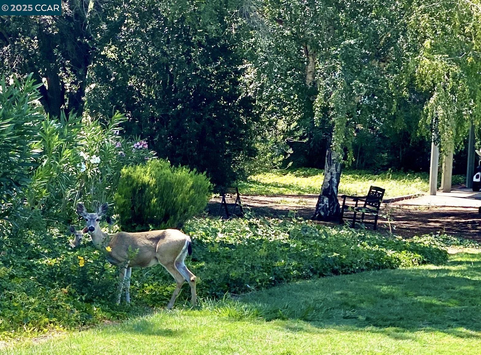 2933 Ptarmigan Dr # 3