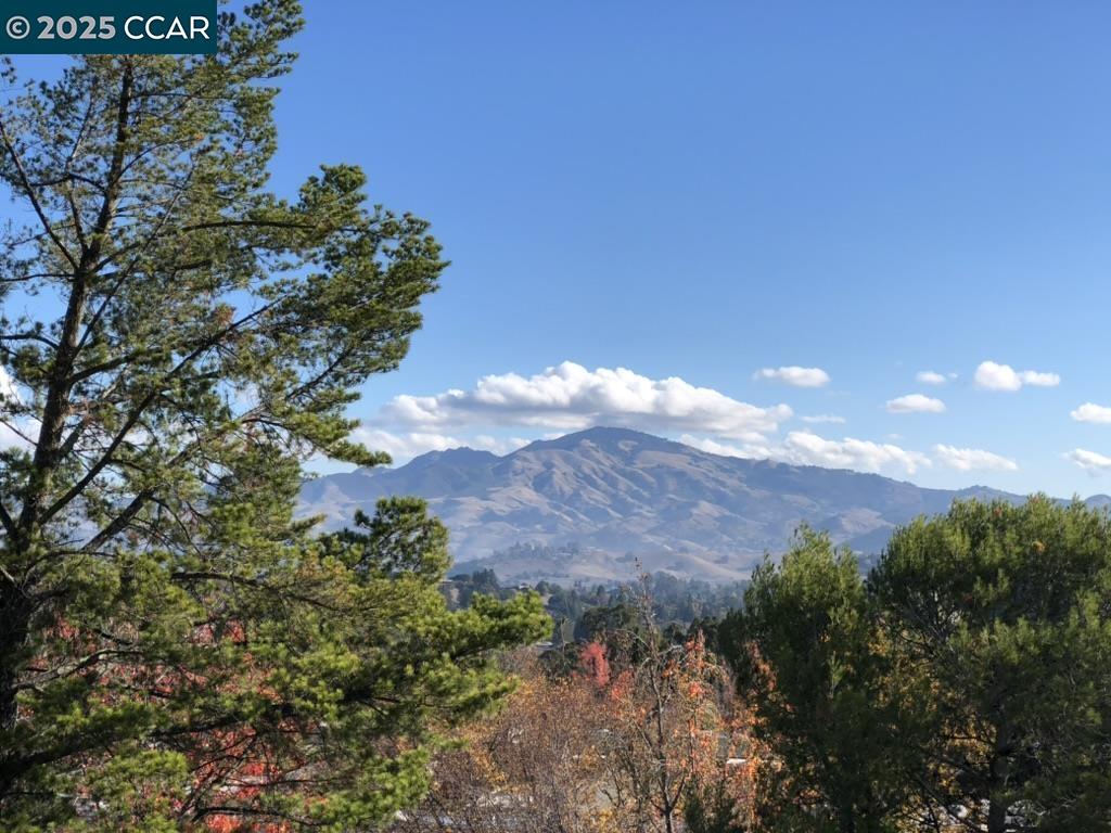 2933 Ptarmigan Dr # 3