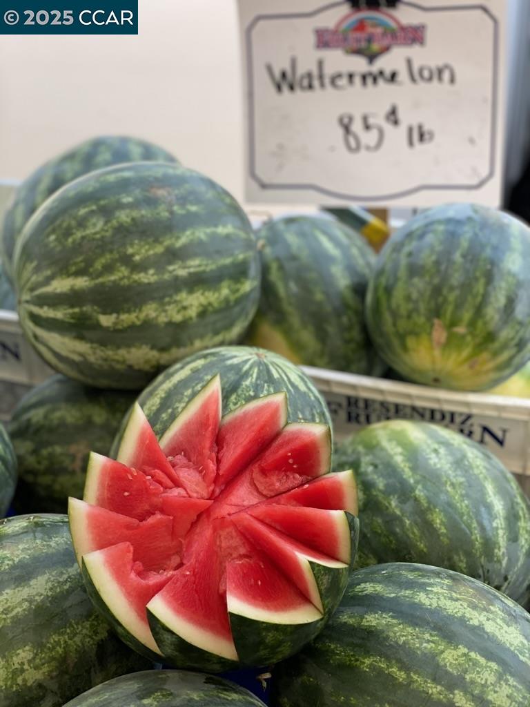 2933 Ptarmigan Dr # 3