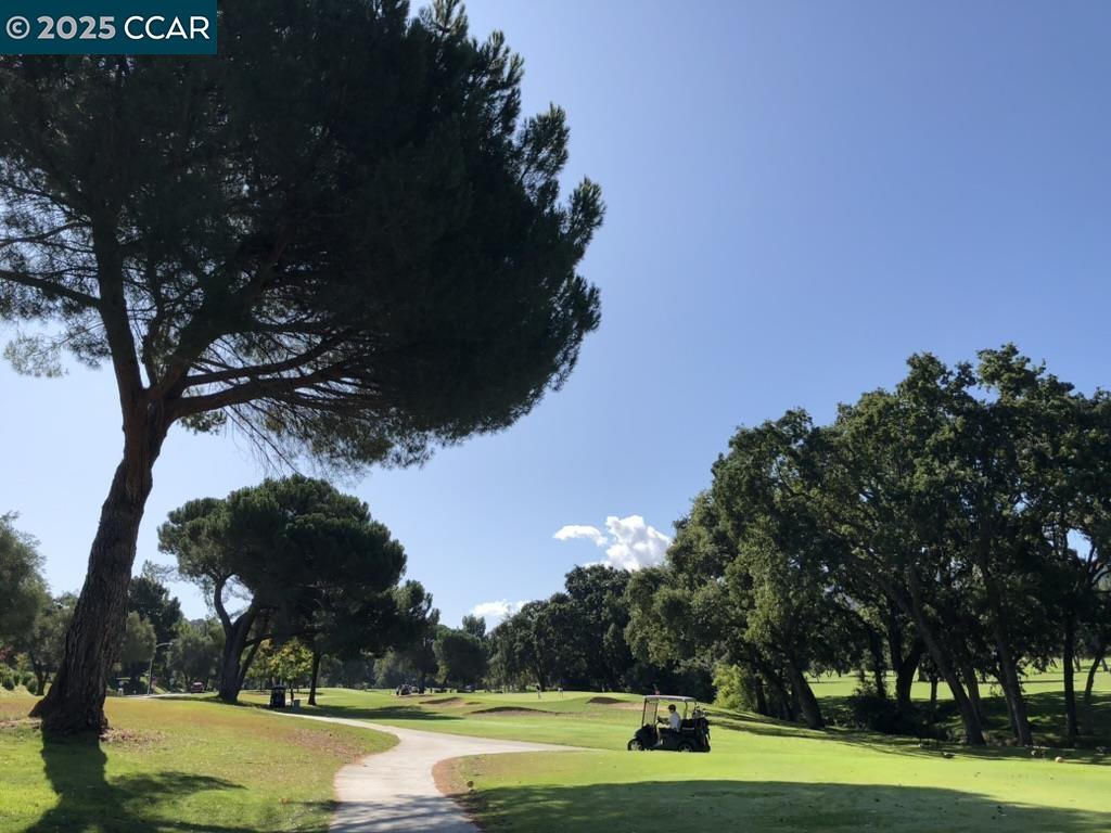 2933 Ptarmigan Dr # 3