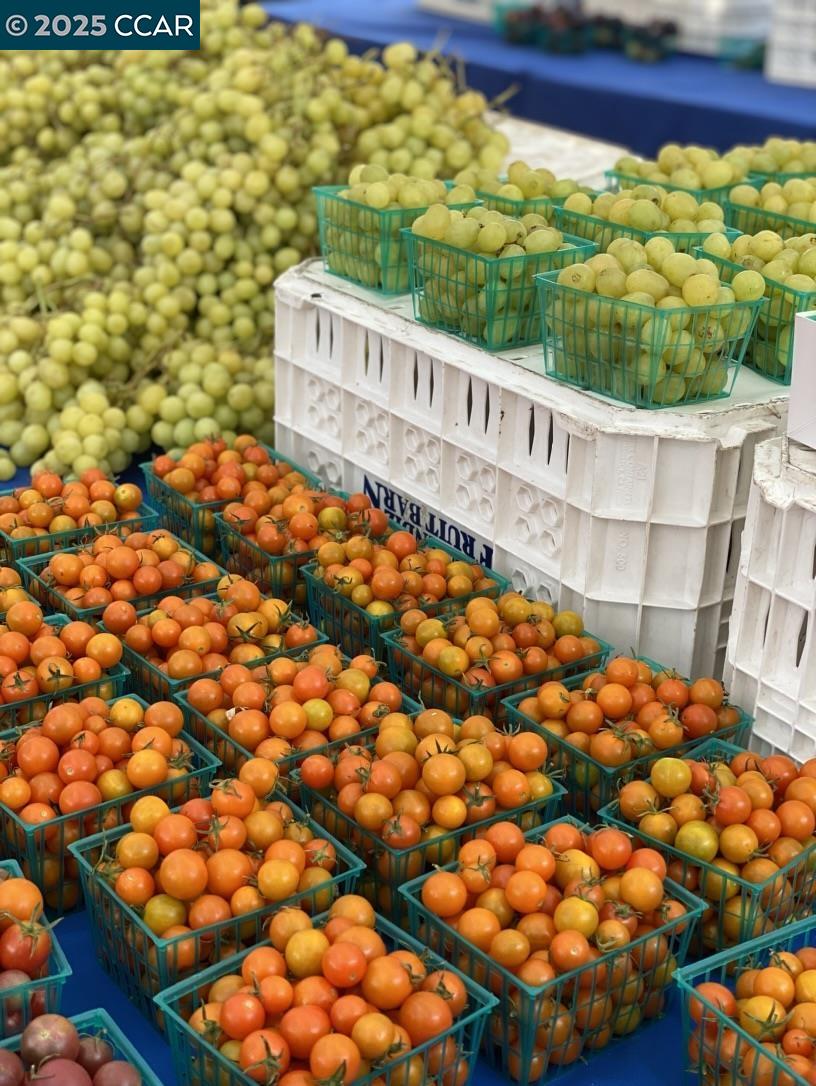 2933 Ptarmigan Dr # 3