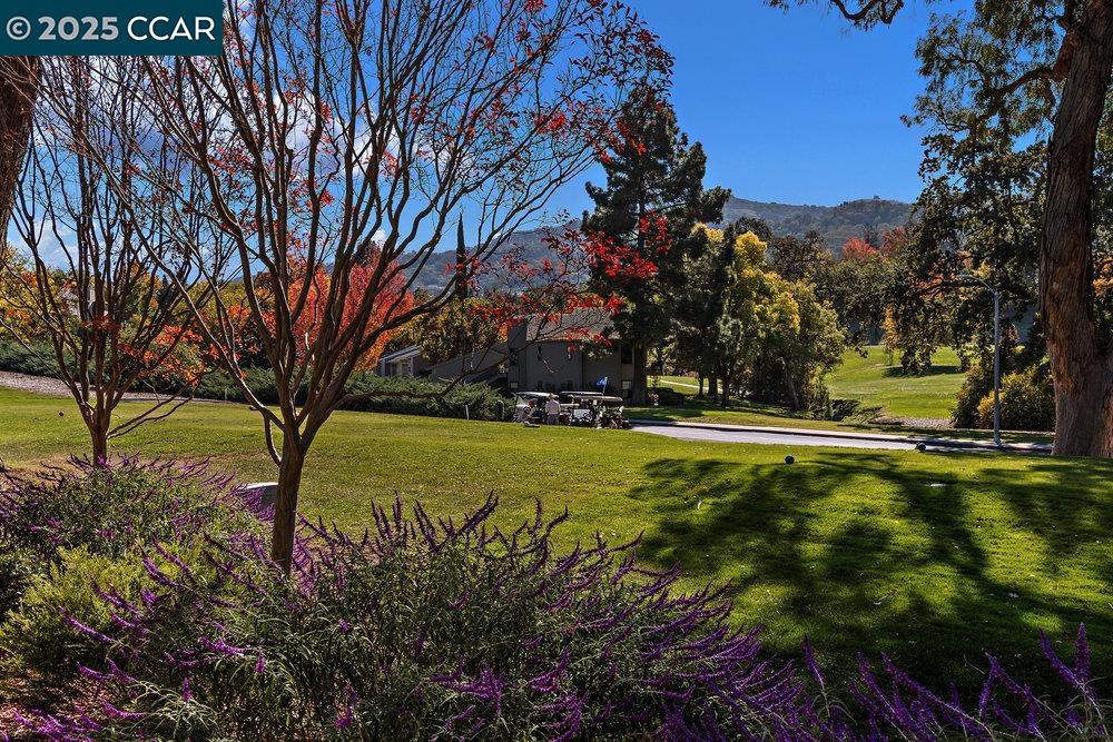 3108 Rossmoor Parkway # 2