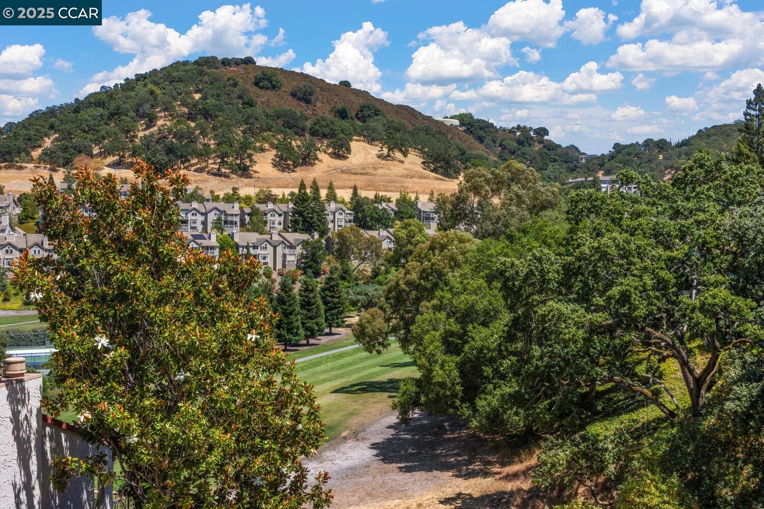 4033 Terra Granada Dr # 3C