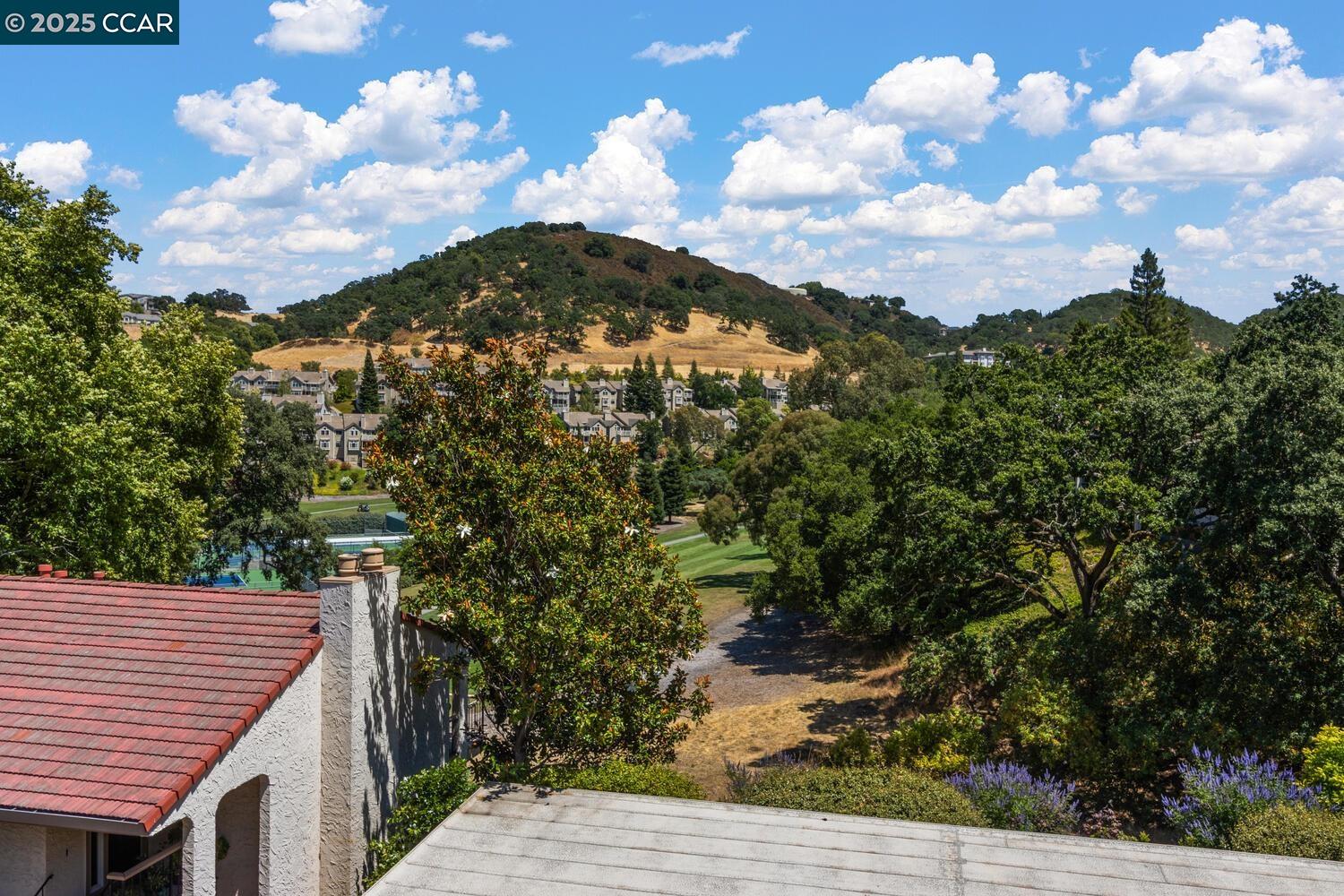 4033 Terra Granada Dr # 3C