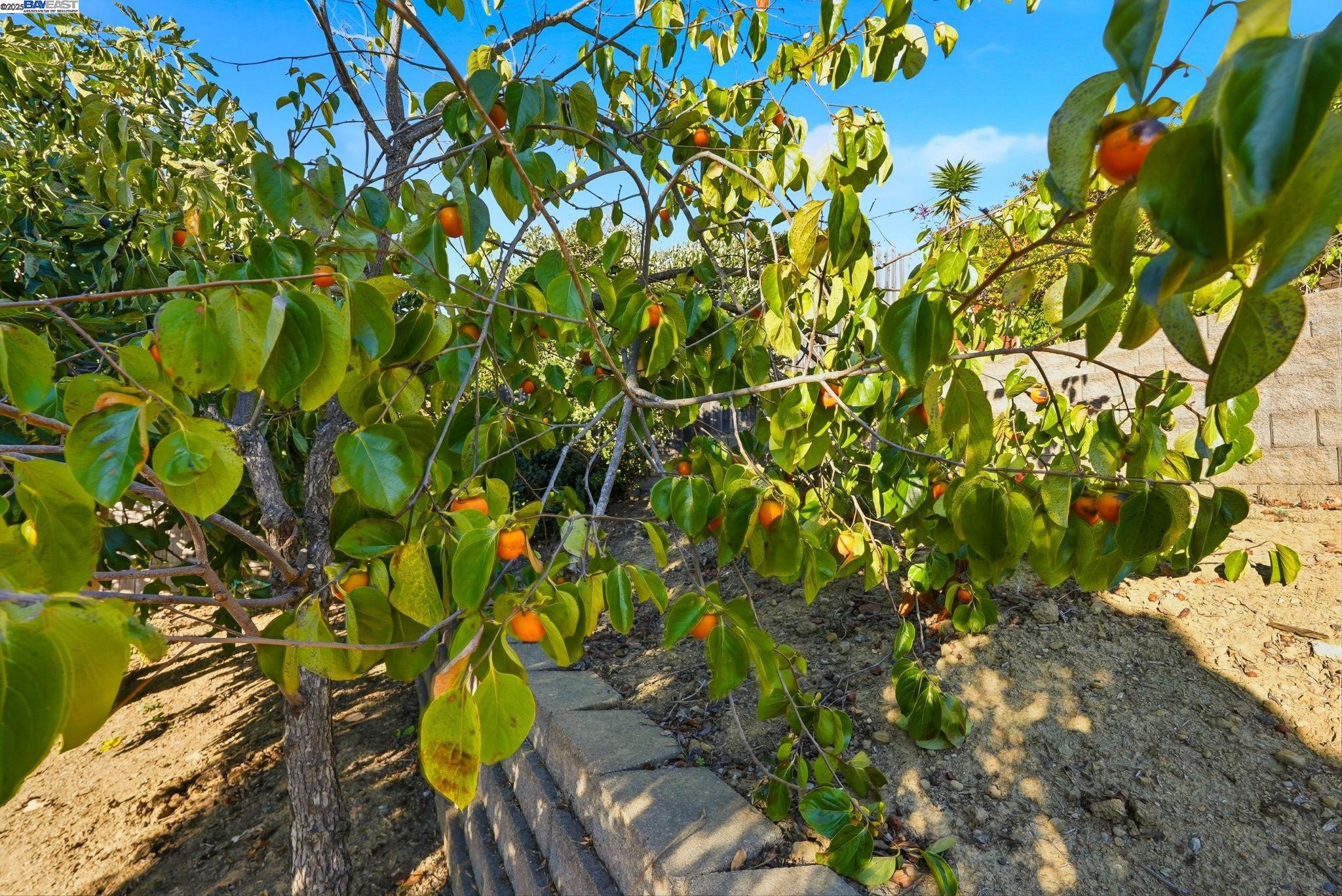 18660 E Cavendish Dr