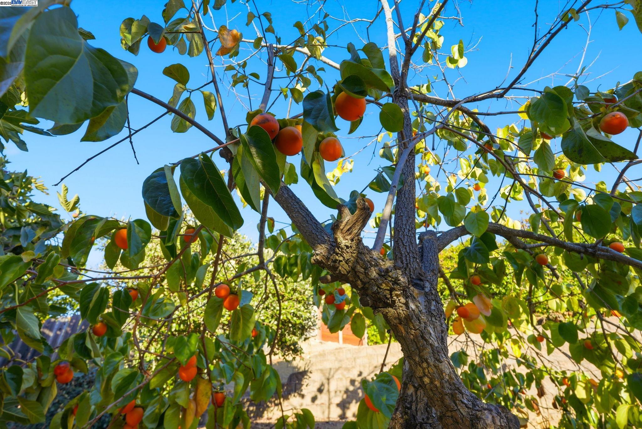 18660 E Cavendish Dr