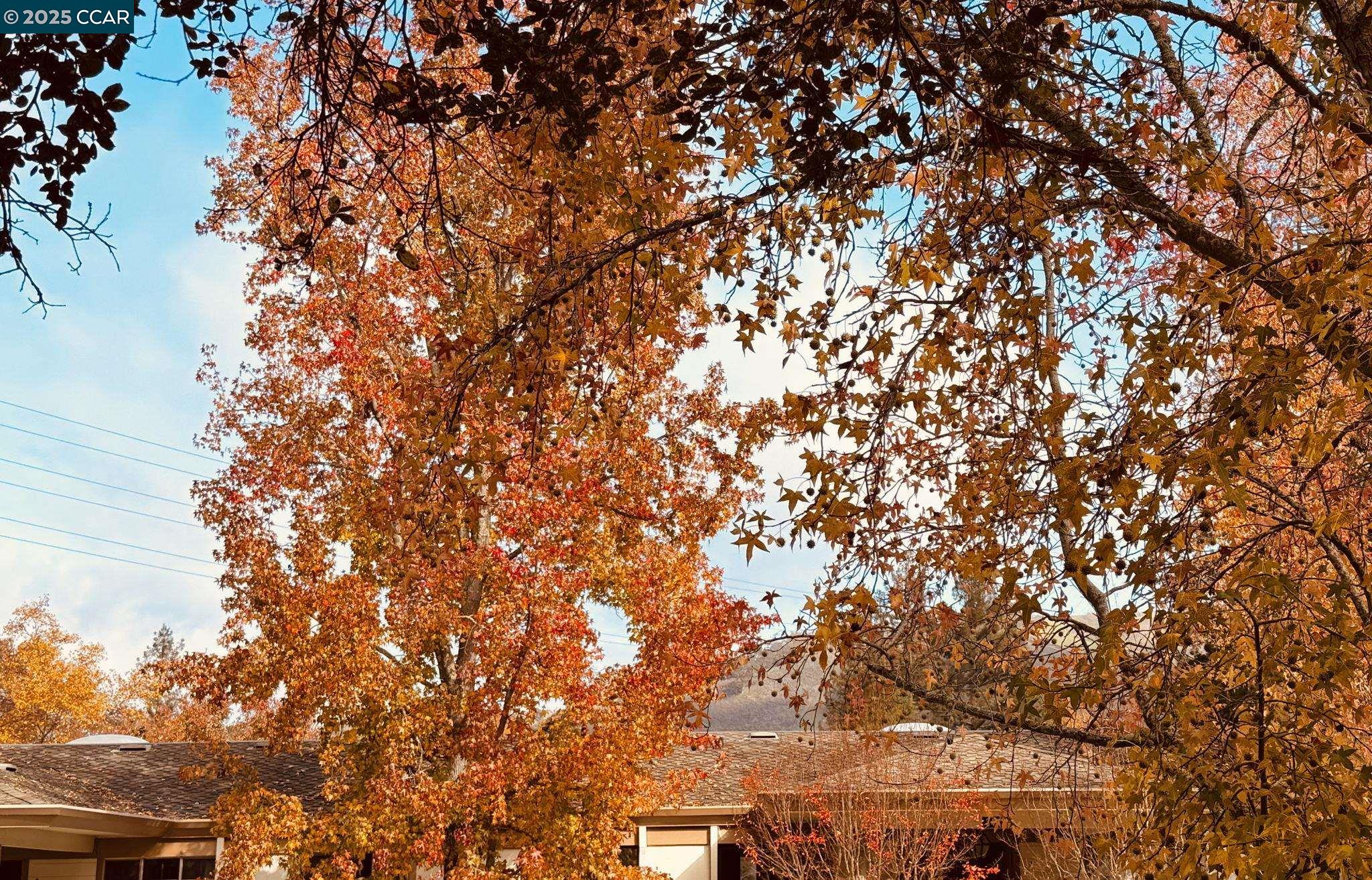 3465 Tice Creek Dr # 4 Unit: #4