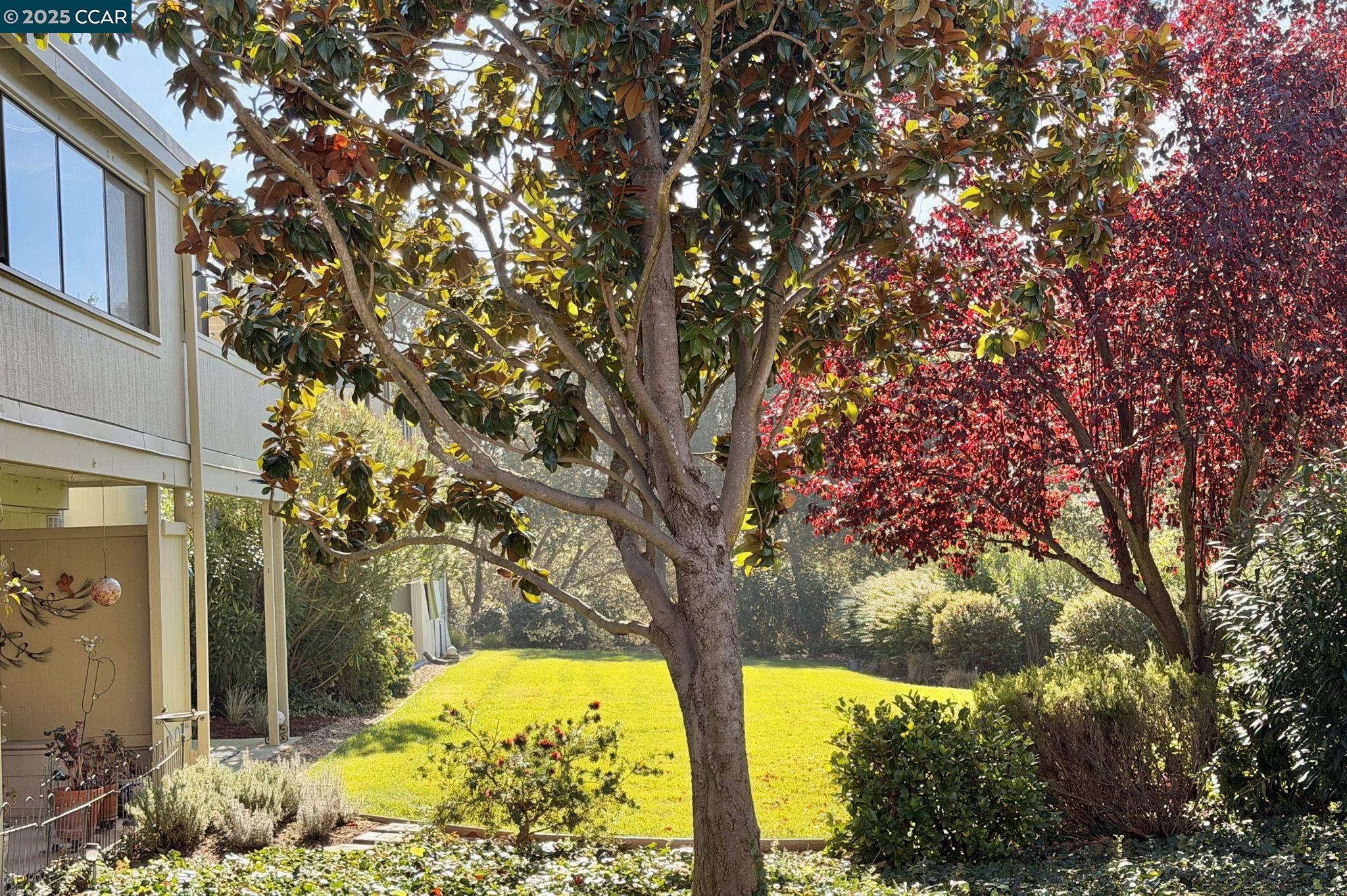 2057 Golden Rain Rd # 4