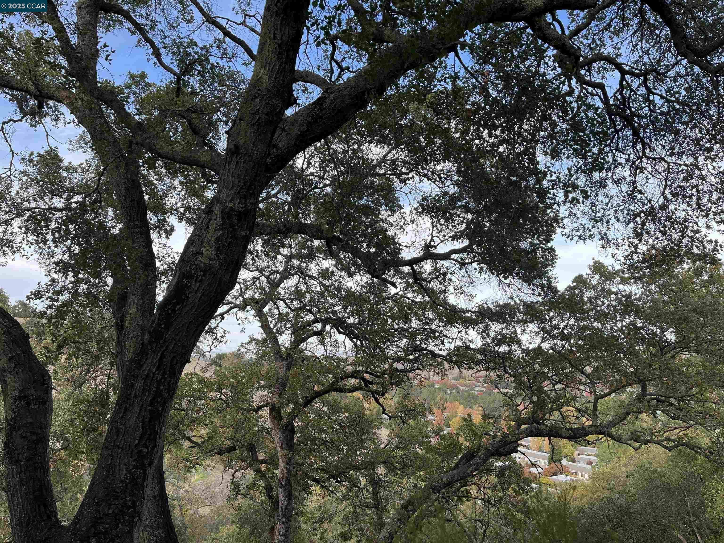 3120 Ptarmigan Dr. # 3