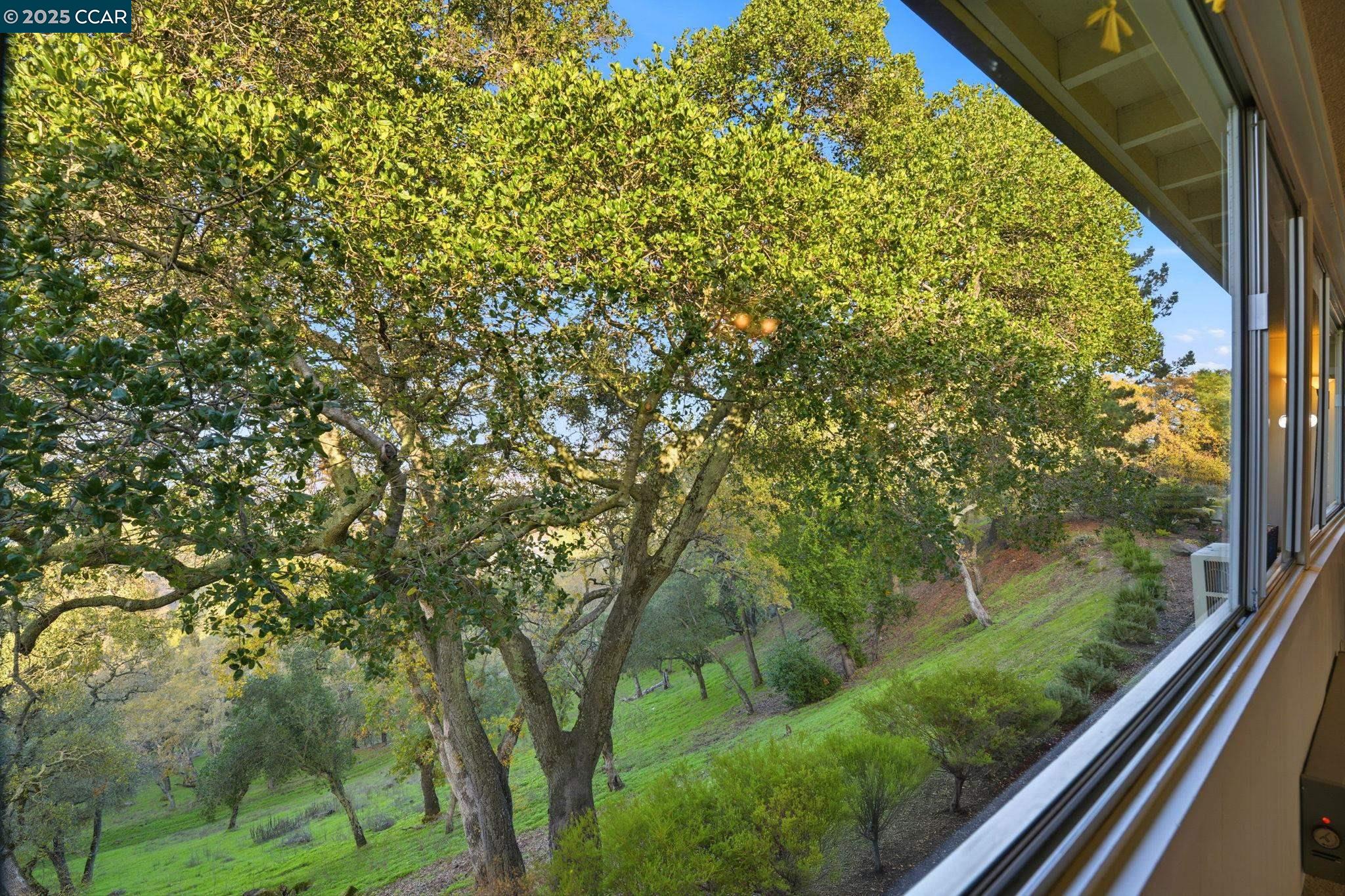 3120 Ptarmigan Dr. # 3