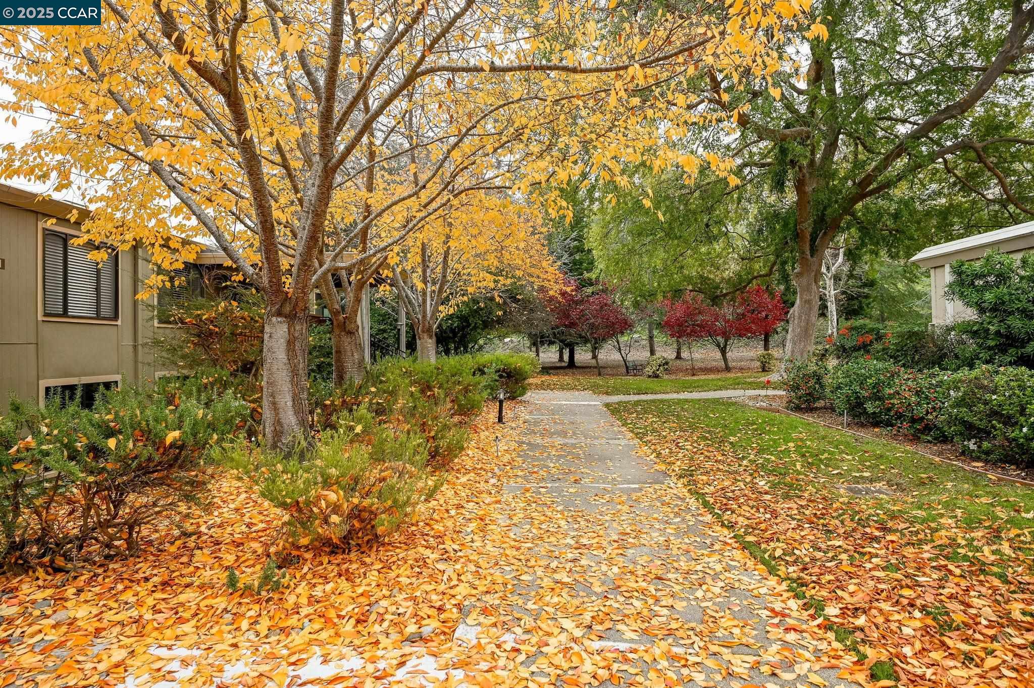 1131 Oakmont Drive # 6