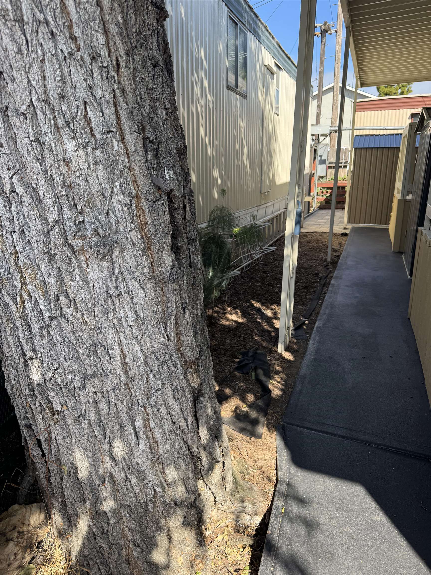 2399 E 14th Street # 66