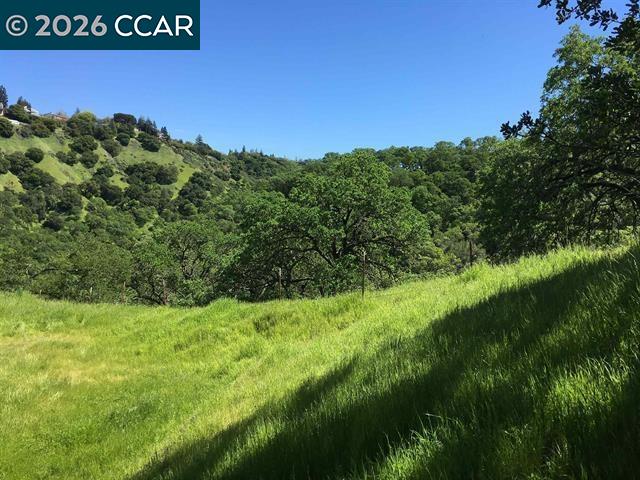 283 Castle Hill Ranch Rd