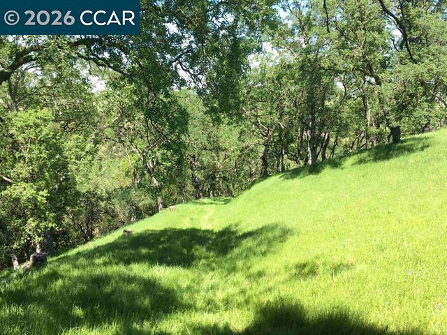 283 Castle Hill Ranch Rd