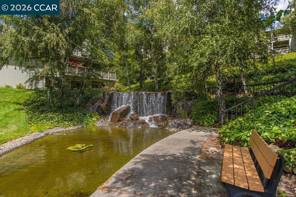 3136 Rossmoor Parkway # 8