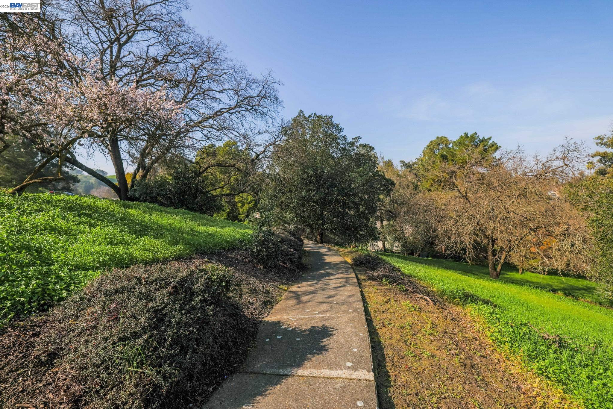 1444 Ashwood Drive
