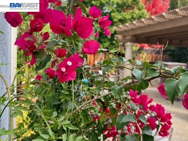 3421 Blackhawk Meadow Drive