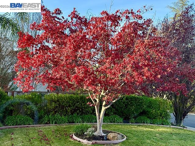 3421 Blackhawk Meadow Drive