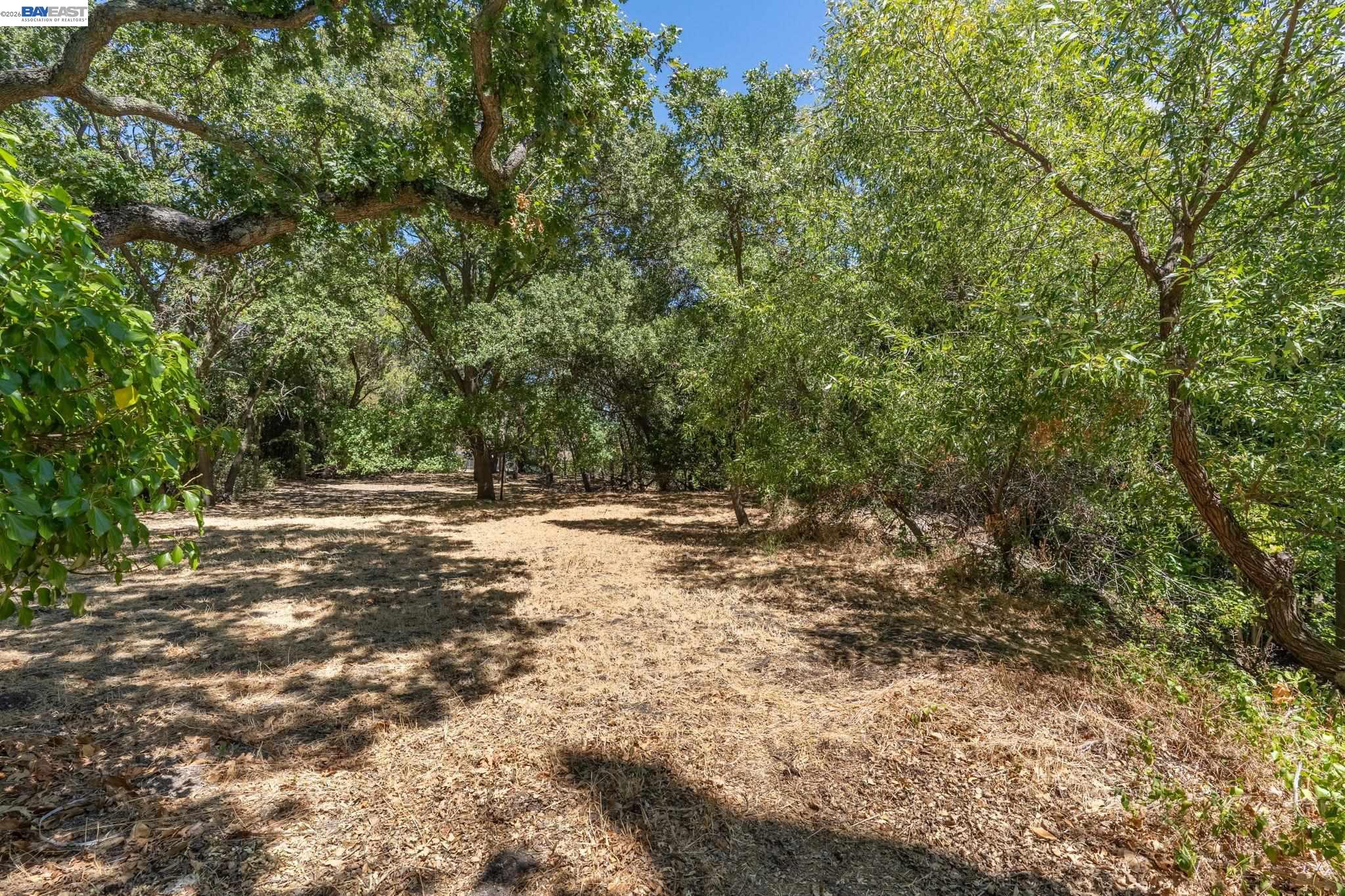 131 Montecito Crescent