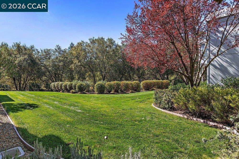 2057 Golden Rain Rd # 8
