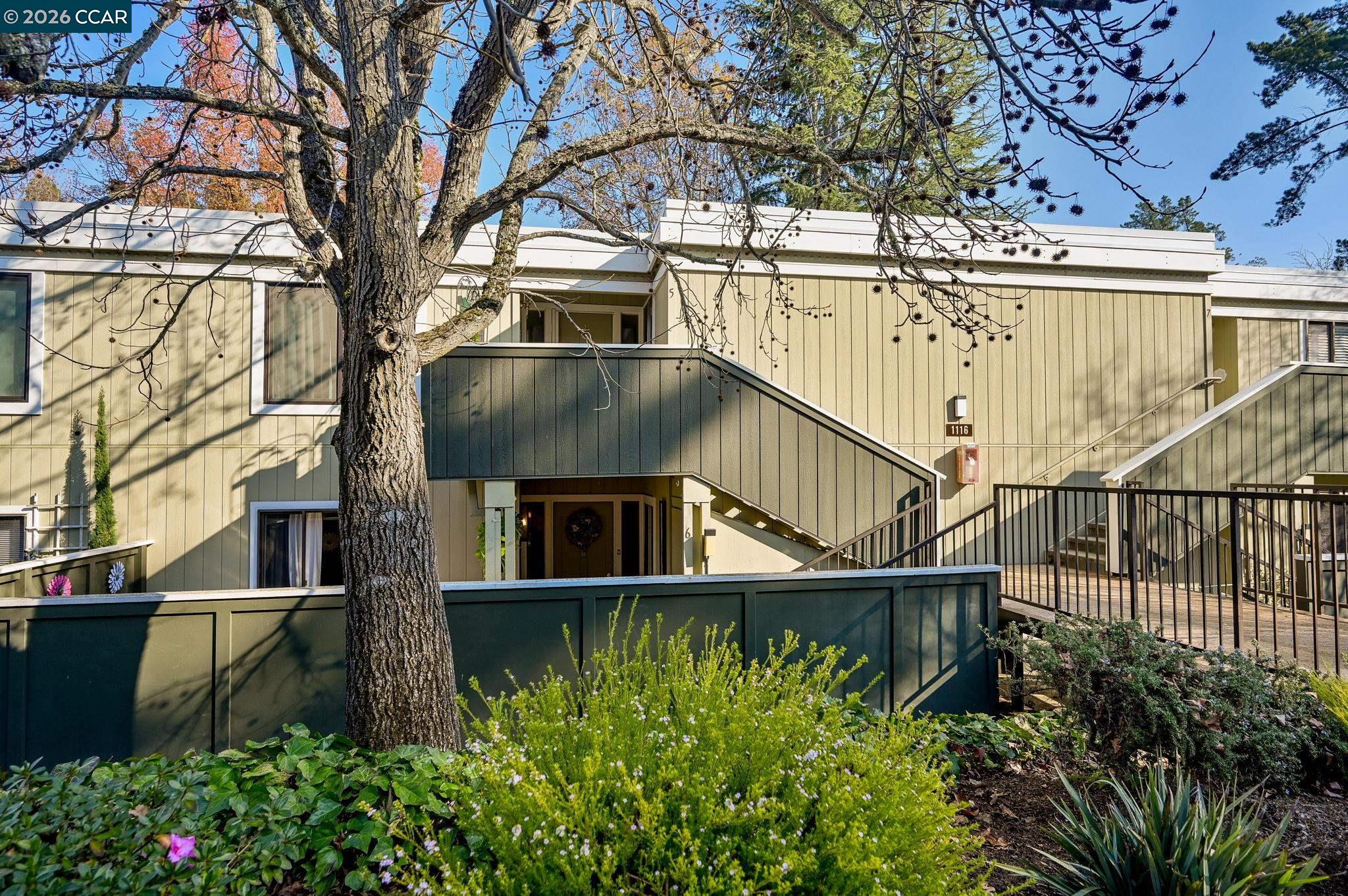 1116 Running Springs # 6