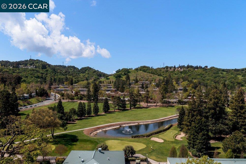 3136 Rossmoor Parkway # 6