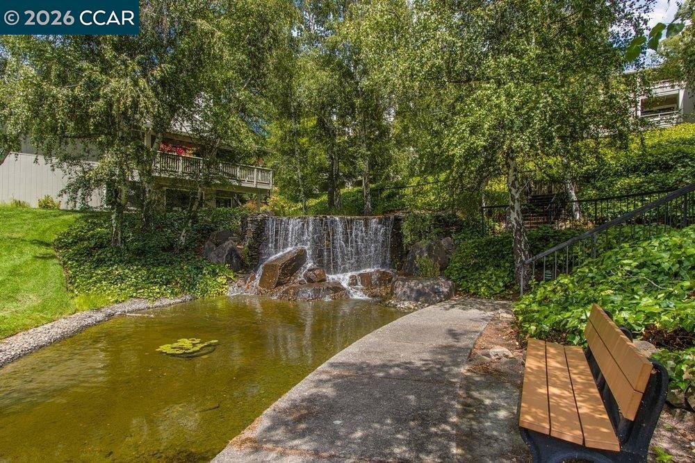 3136 Rossmoor Parkway # 6